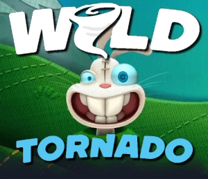 Close-Up: Blackjack Games and Features at Wild Tornado Crypto Casino Canada