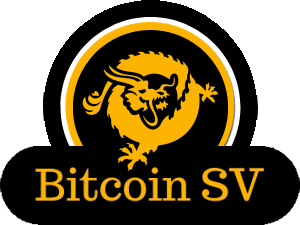 What is BSV (Bitcoin Satoshi's Vision) and How is it Superior to Bitcoin?